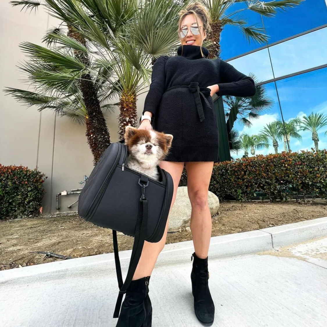 Shoulder & Top Handle Dog Carriers