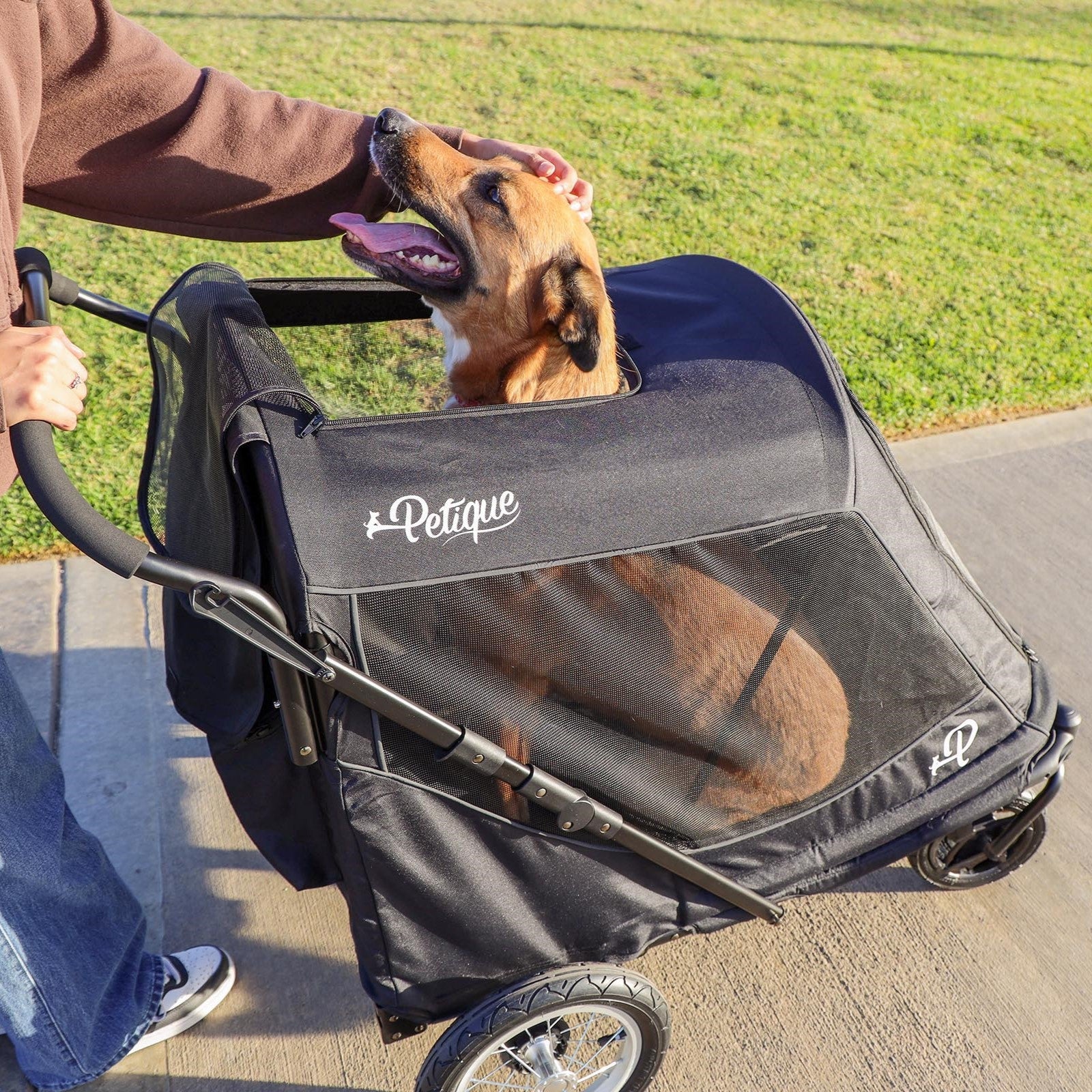 zhuokece dog stroller Petique Apollo Pet Stroller for Large Dogs Free Shipping USA – Pousse Pitou