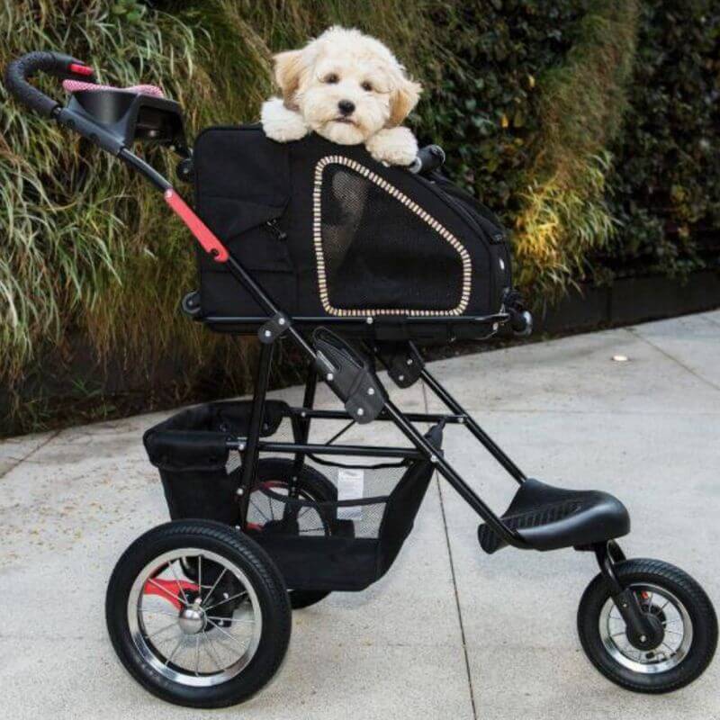 Petique 5-in-1 Airline Approved Dog Carrier with Wheels for In Cabin