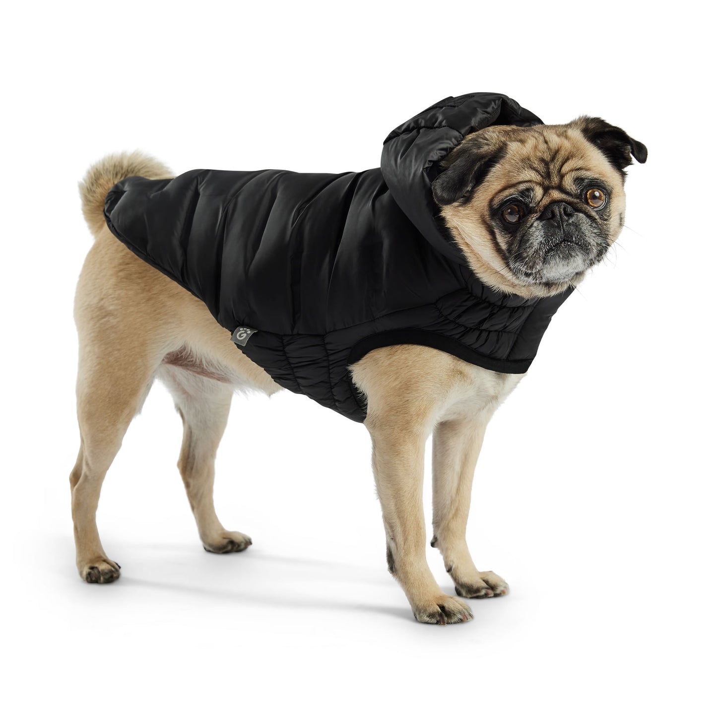 GF Pet Cloud Parka