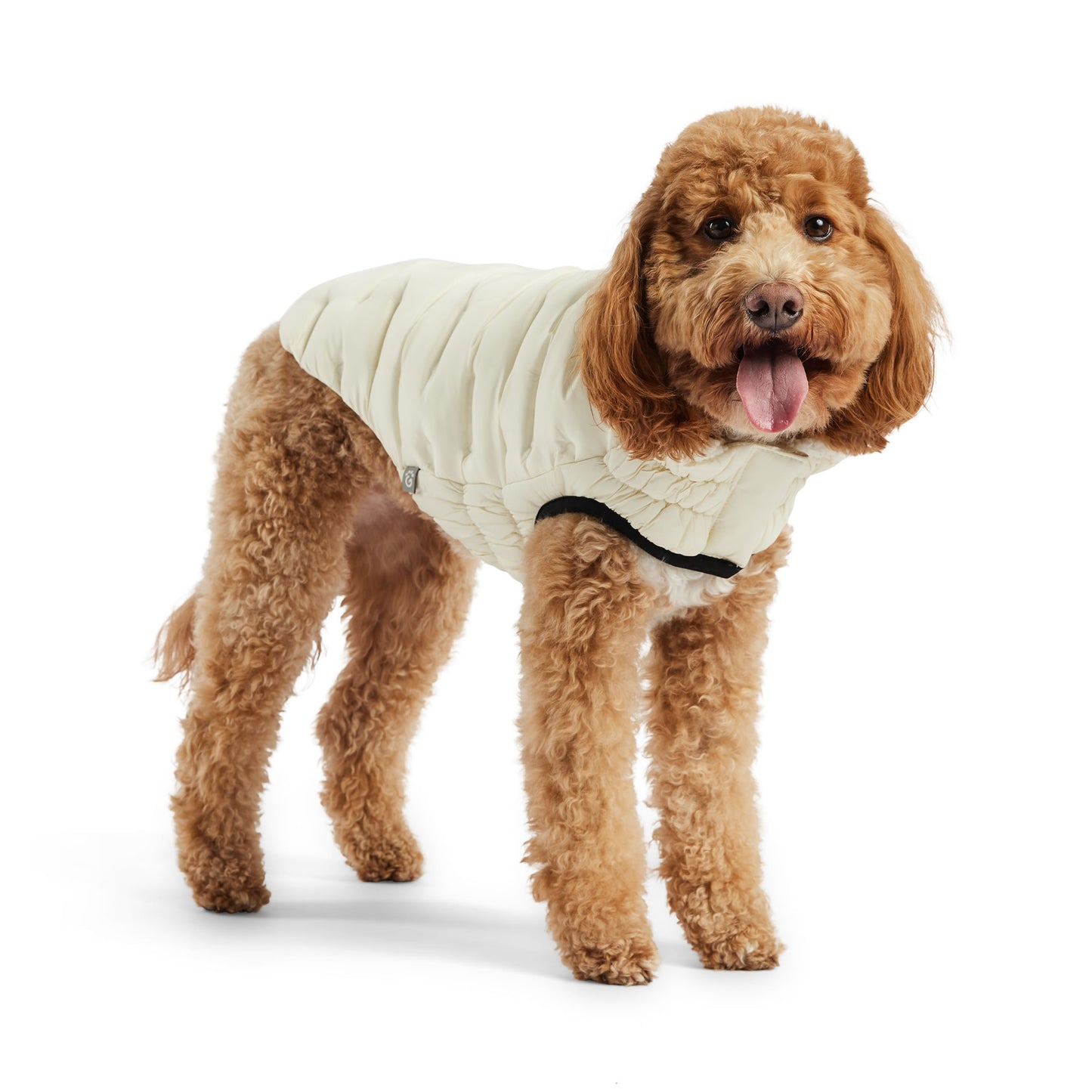 GF Pet Cloud Parka