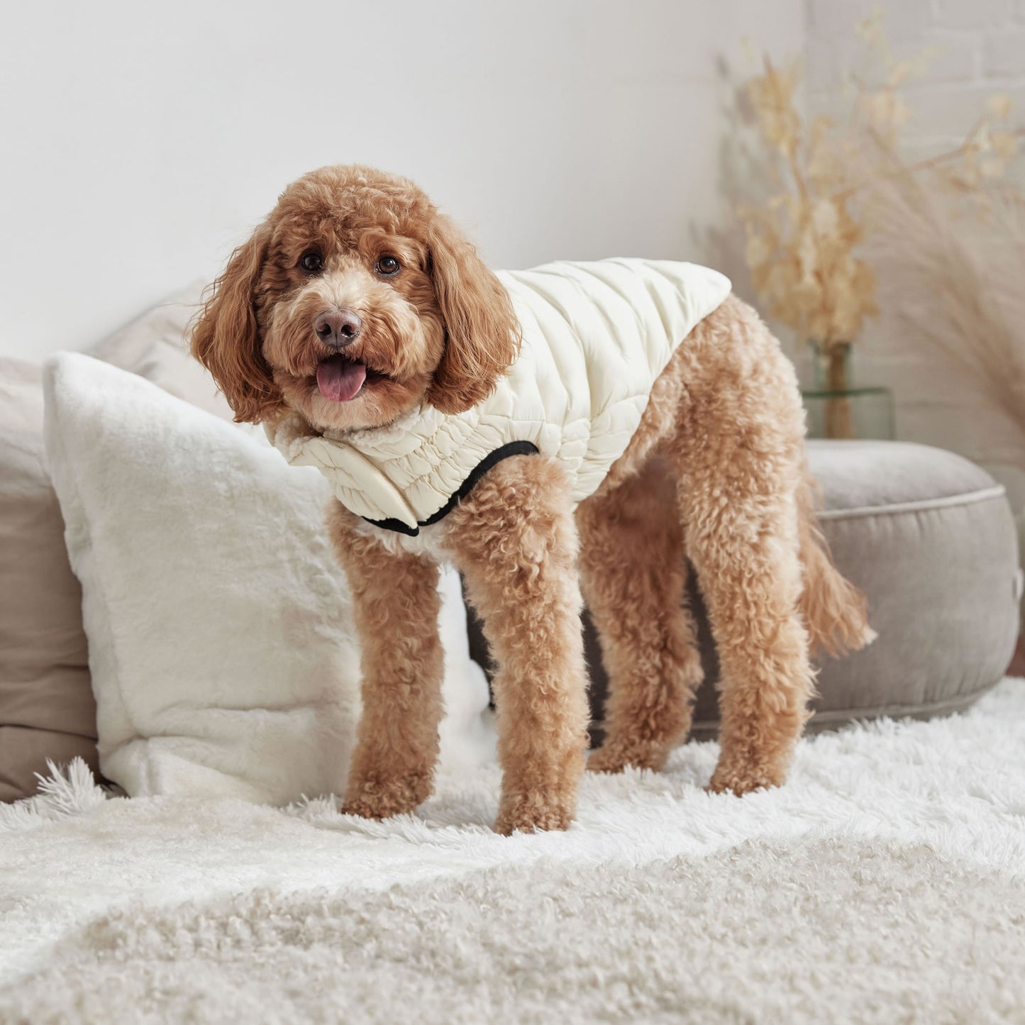 GF Pet Cloud Parka