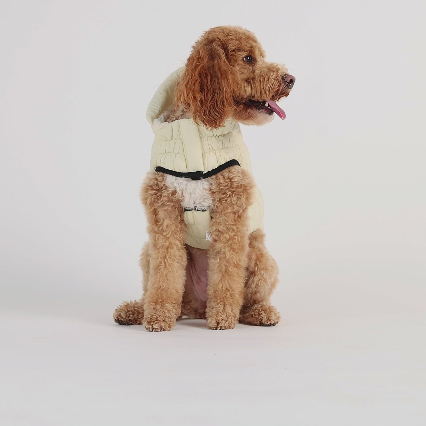 GF Pet Cloud Parka