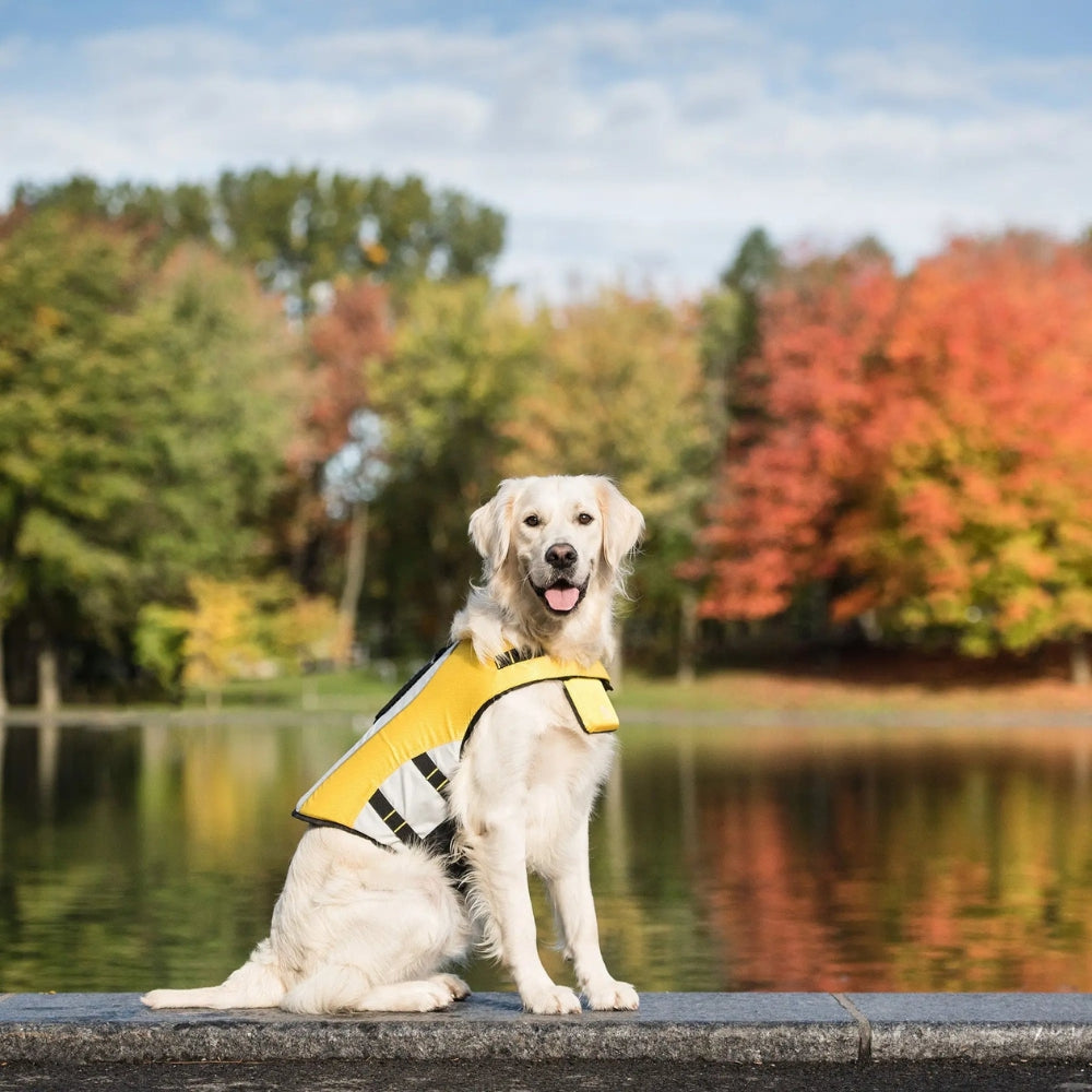 GF Pet Dog Life Jacket Vest