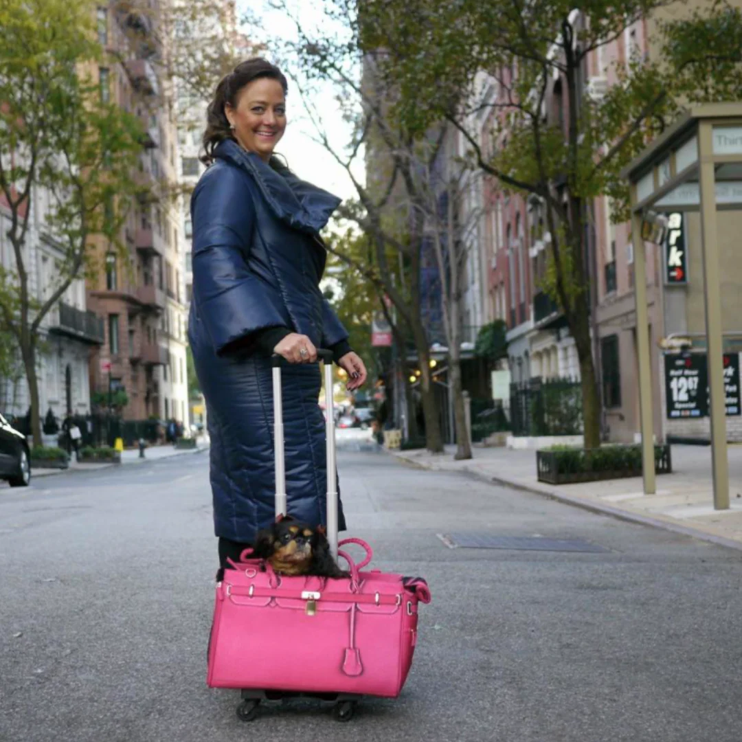 Madison Pet Carrier Pet-Trek on Wheels Airline Approved