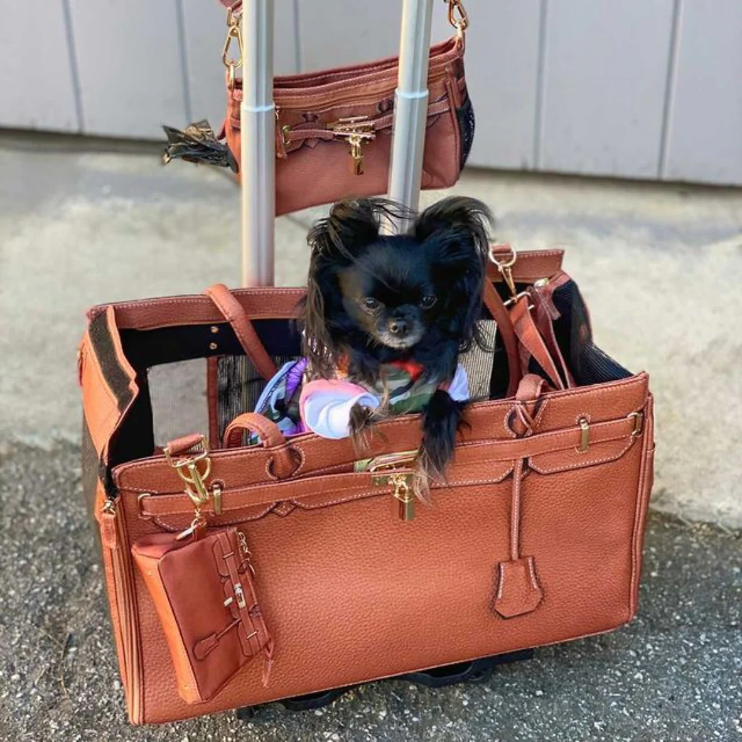 Madison Pet Carrier Pet-Trek on Wheels Airline Approved