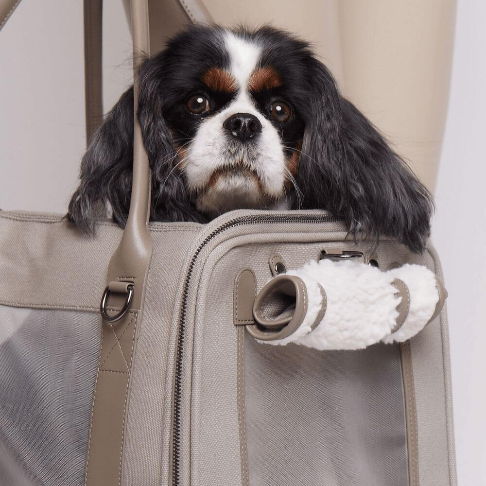 Maxbone Global Citizen Dog Carrier Modern Bag