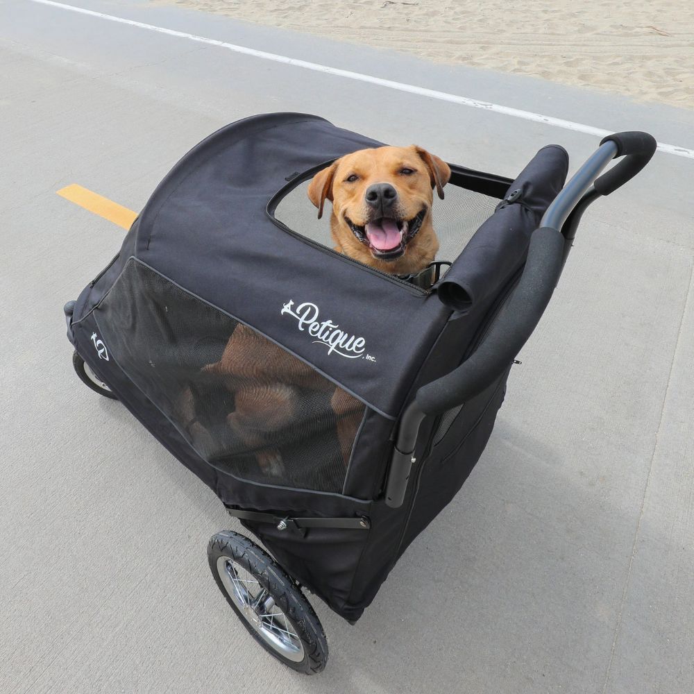 Petique Apollo Elite Pet Stroller for Large Dogs: Sturdy Ramp, Low to Ground, Air-Filled Bike Tires, Peek-a-Boo Window Folds Compact, Convertible Canopy, For Large & Multiple Dogs, Supports up to 133 LBS