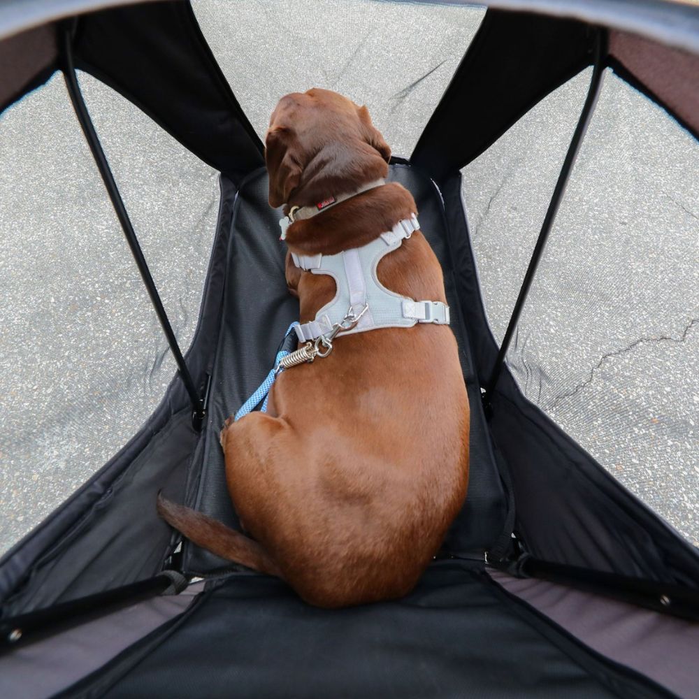 Petique Apollo Elite Pet Stroller for Large Dogs: Sturdy Ramp, Low to Ground, Air-Filled Bike Tires, Peek-a-Boo Window Folds Compact, Convertible Canopy, For Large & Multiple Dogs, Supports up to 133 LBS