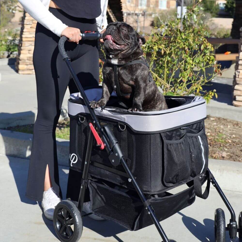 Petique Dynamic Dog Stroller - Available in two colors