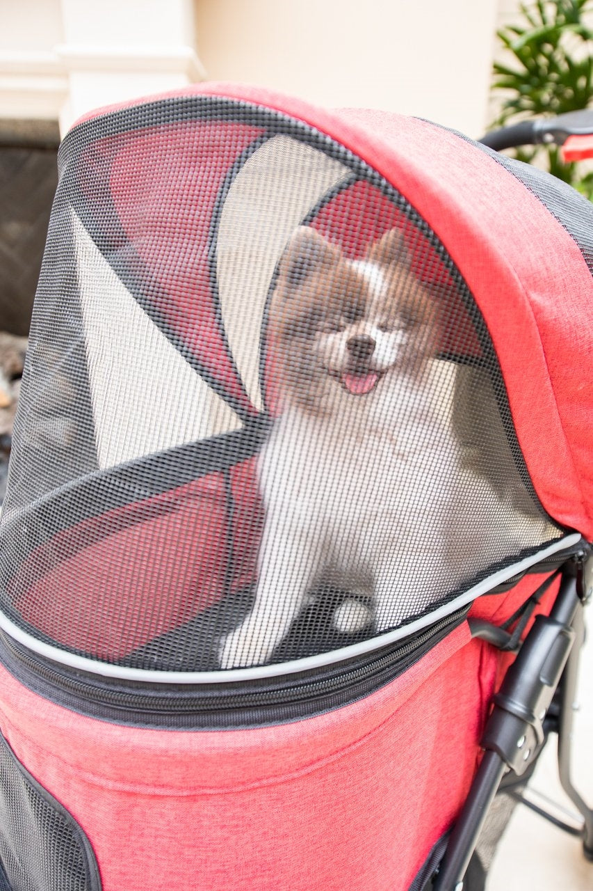 Petique Catalina Pet Stroller