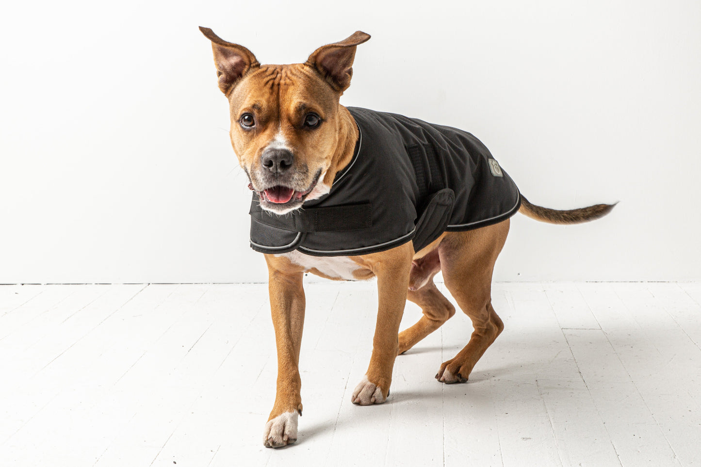 GF Pet Dog Blanket Jacket - Black