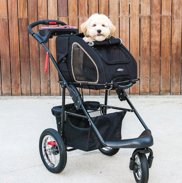 dog stroller near me Petique 5-in-1 Dog Stroller and Carrier Free Shipping to USA – Pousse Pitou