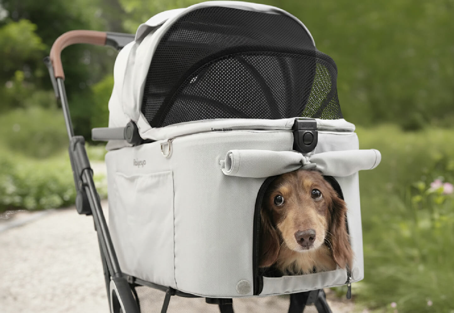 Ibiyaya Tinker Detachable Pet Stroller – Compact Buggy for Cats & Small Dogs