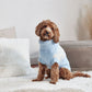 GF Pet Fuzzy Sweater