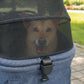 Dog peeking out of a blue pet carrier with a mesh window, outdoors.