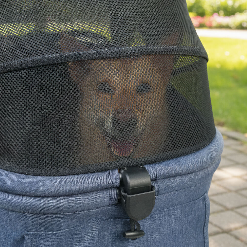 Dog peeking out of a blue pet carrier with a mesh window, outdoors.