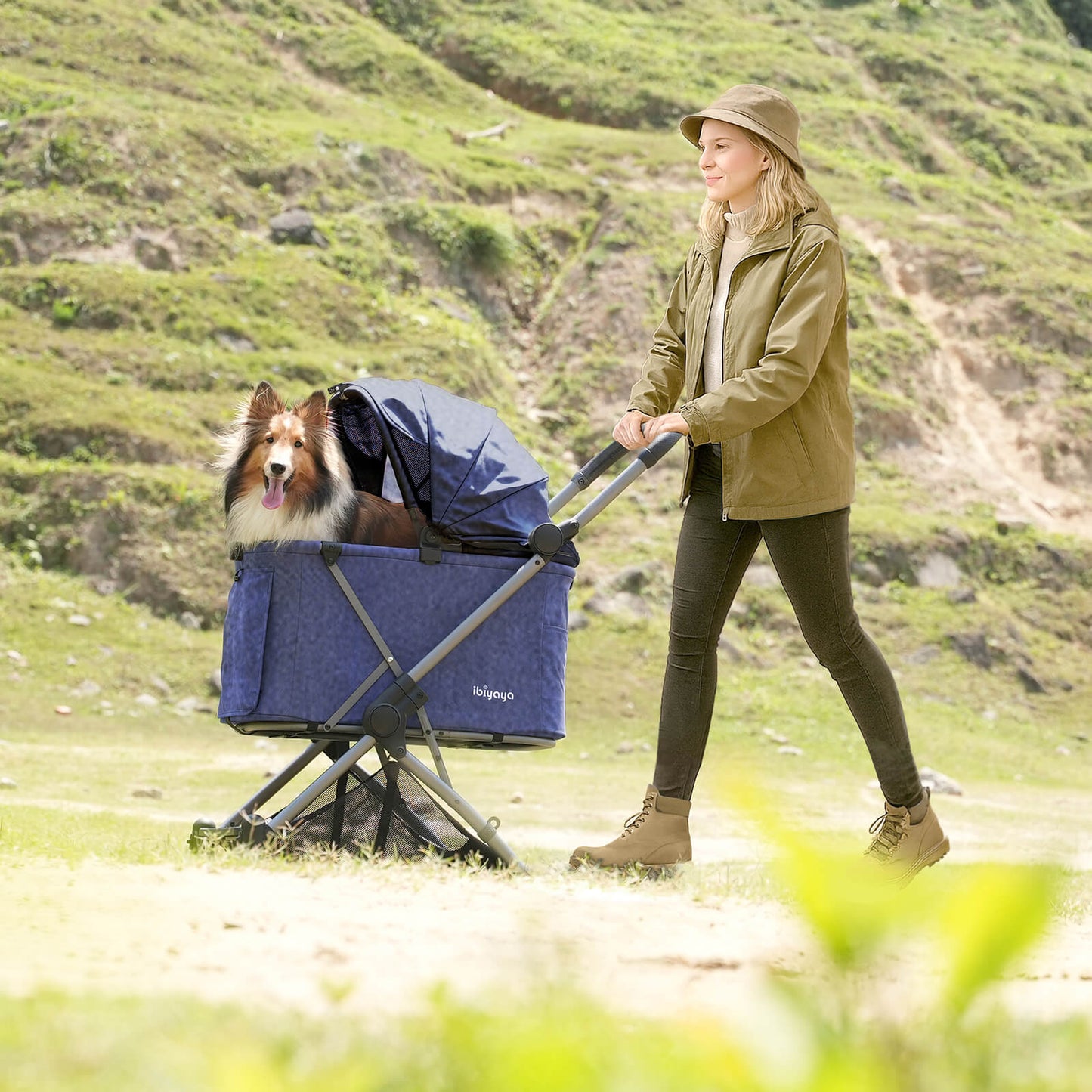 Woman pushing a Ibiyaya Maxi blue pet stroller with a dog in a scenic outdoor setting