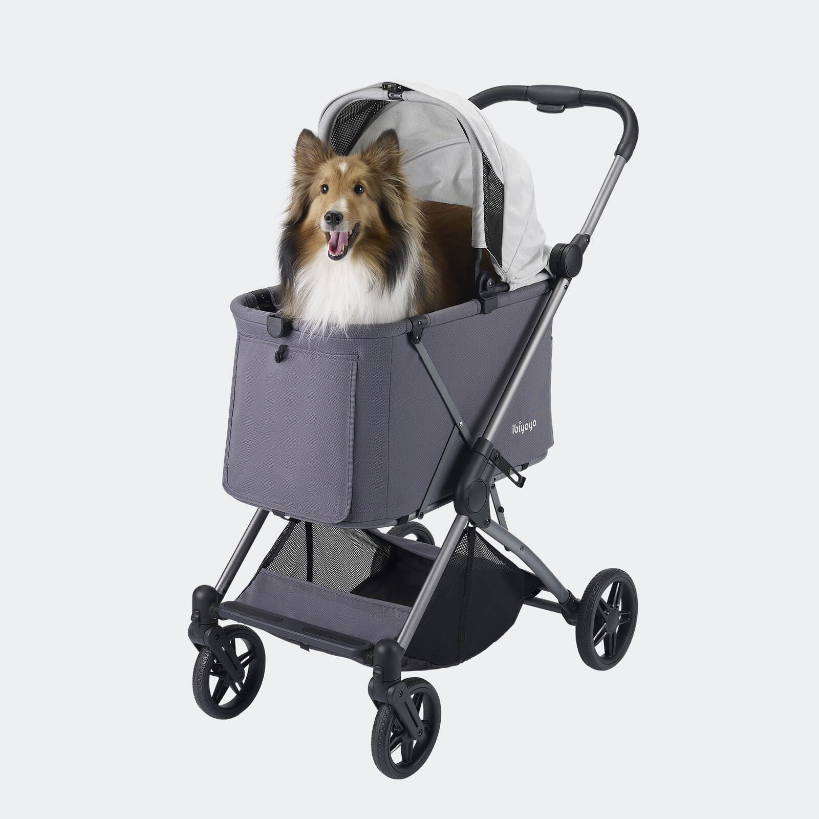 Dog sitting up in a gray pet stroller made by Ibiyaya Maxi