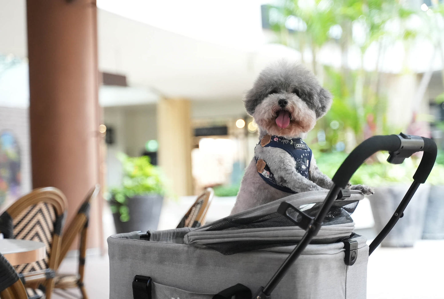Ibiyaya Essential Travois XL Pet Stroller with Detachable Carrier