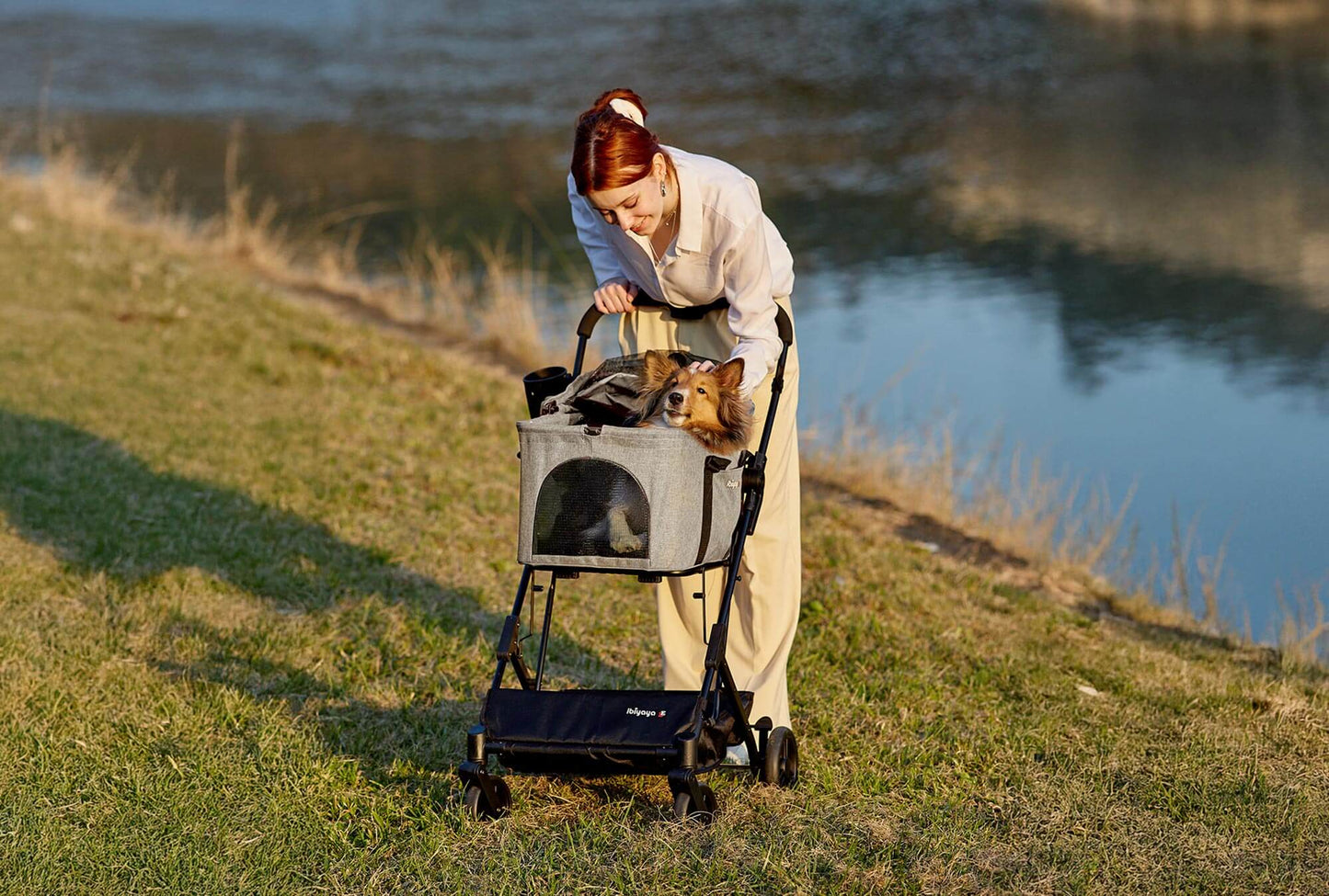 Ibiyaya Essential Travois XL Pet Stroller with Detachable Carrier