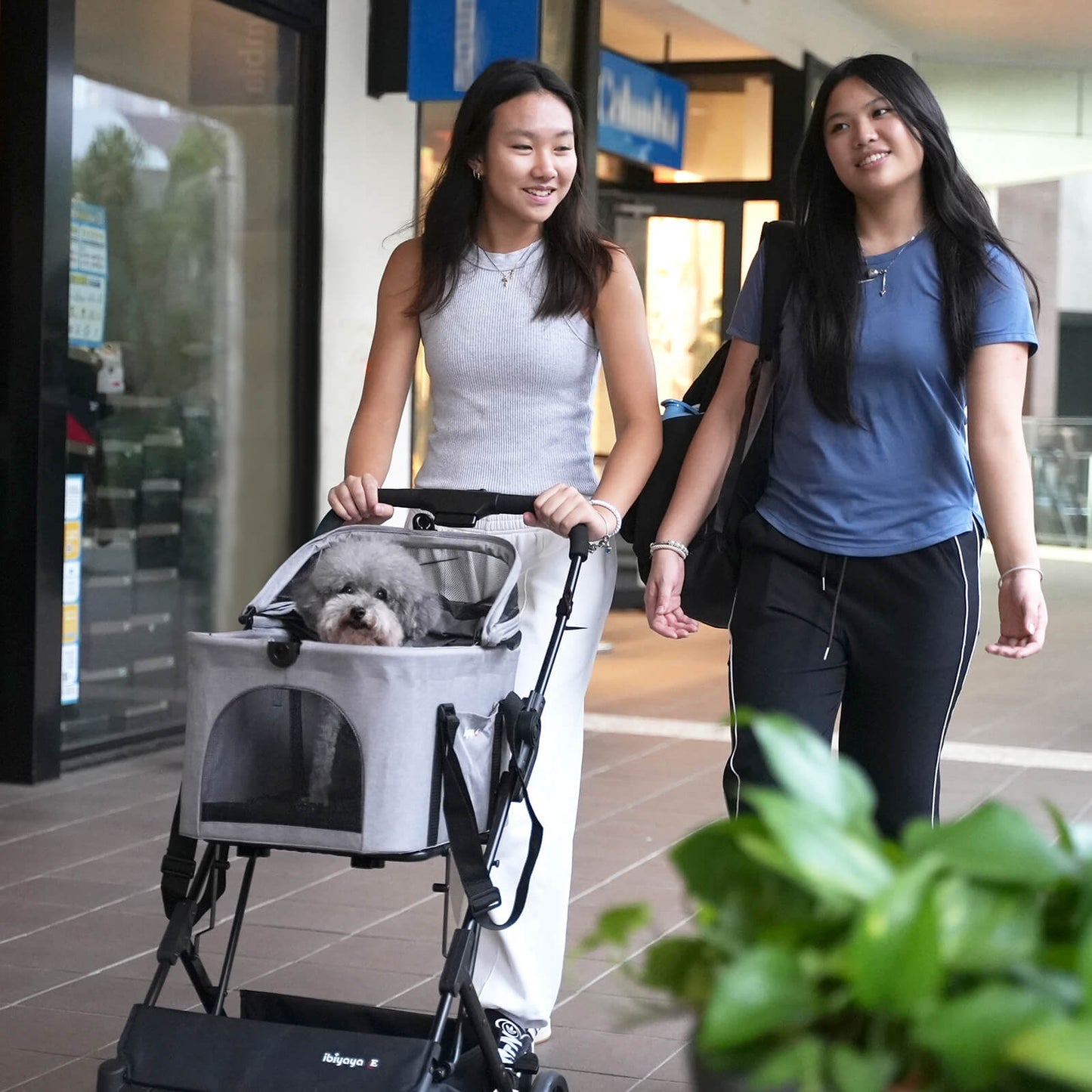 Ibiyaya Essential Travois XL Pet Stroller with Detachable Carrier