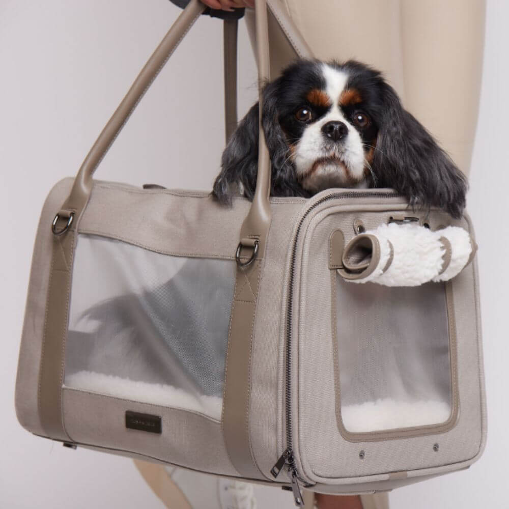 Max Bone Dog Carrier