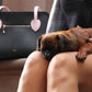 Shaya Blush Pet Carrier
