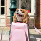 Shaya Blush Pet Carrier
