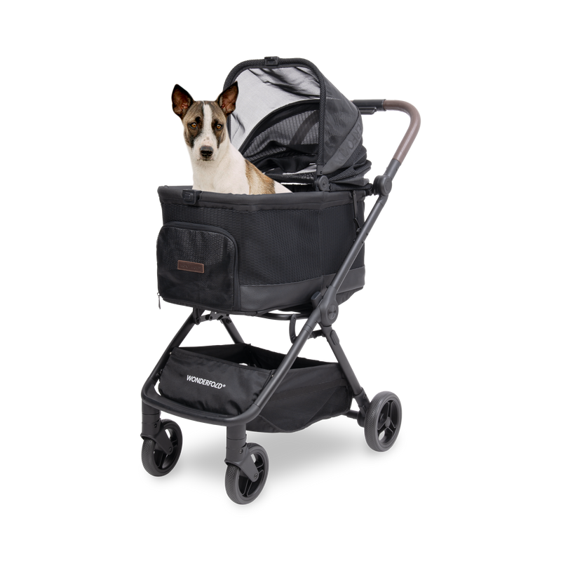 Dog in a black WonderFold Bella pet stroller on a white background