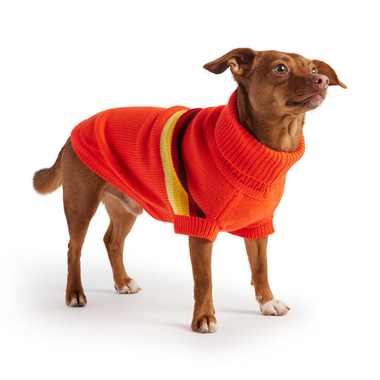 GF Pet Retro Sweater - Orange