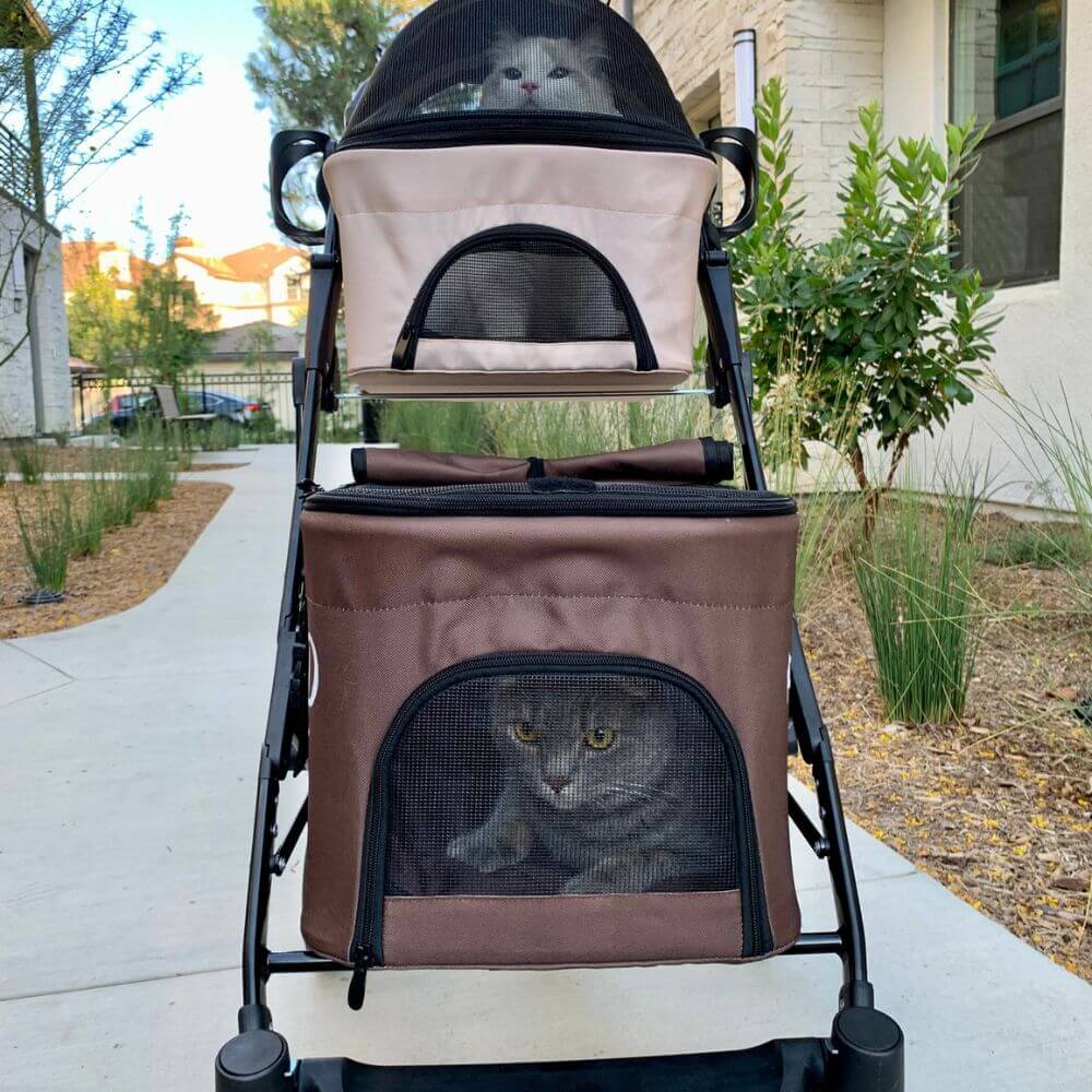double decker stroller Petique Deluxe Double Decker Dog Stroller Free Shipping to USA – Pousse Pitou