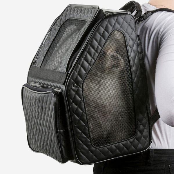 Petote Rio Airline Approved Dog Carrier with Wheels for Plane – Pousse ...