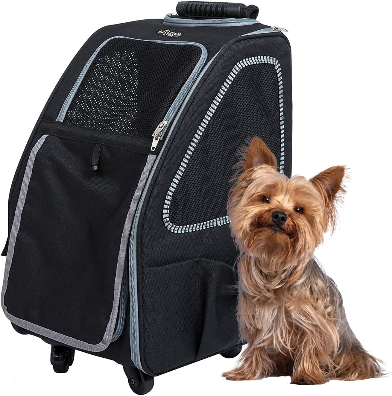 dog stroller that folds into backpack Petique 5-in-1 Dog Stroller and Carrier Free Shipping to USA – Pousse Pitou