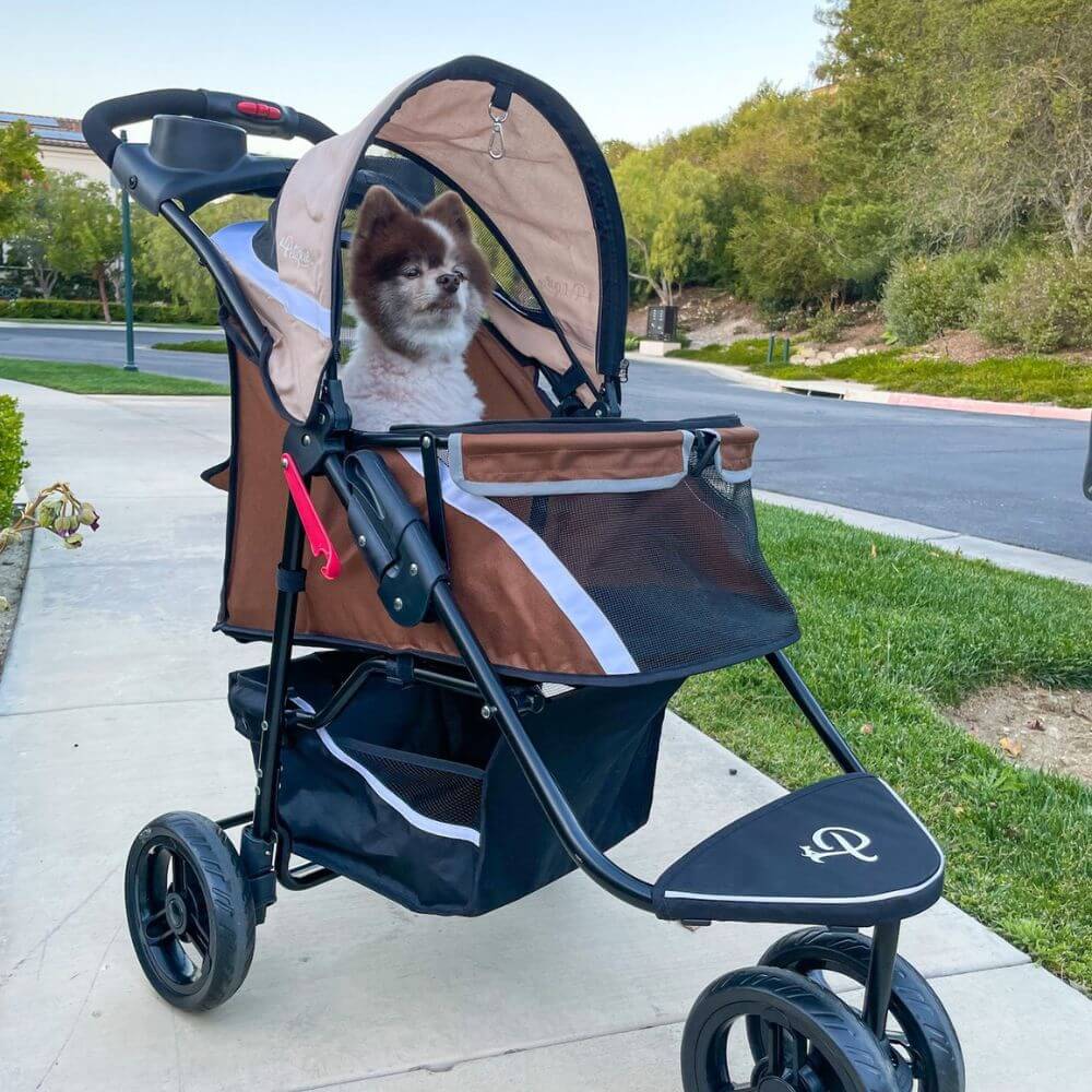 teacup dog stroller Petique Revolutionary Dog Stroller Free Shipping to USA – Pousse Pitou