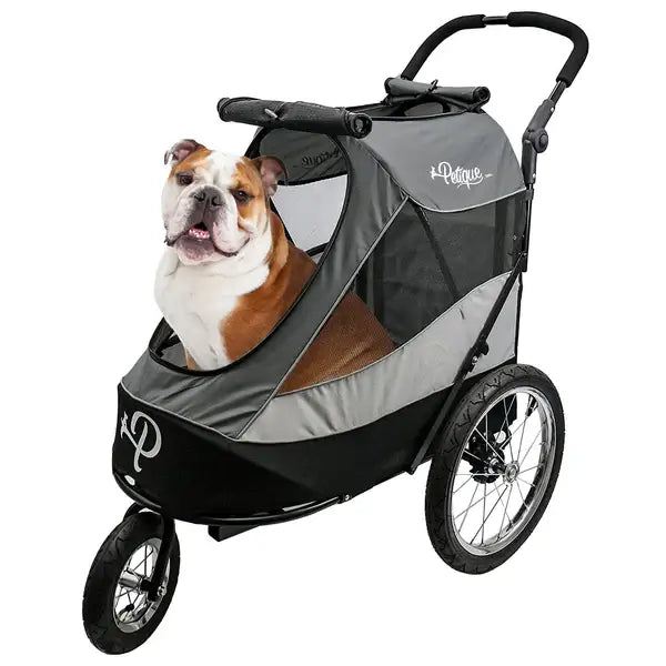innopet sporty dog stroller Petique Trailblazer Best Quality Dog Stroller for Large Dog Free Shipping – Pousse Pitou
